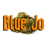 Blue Jo