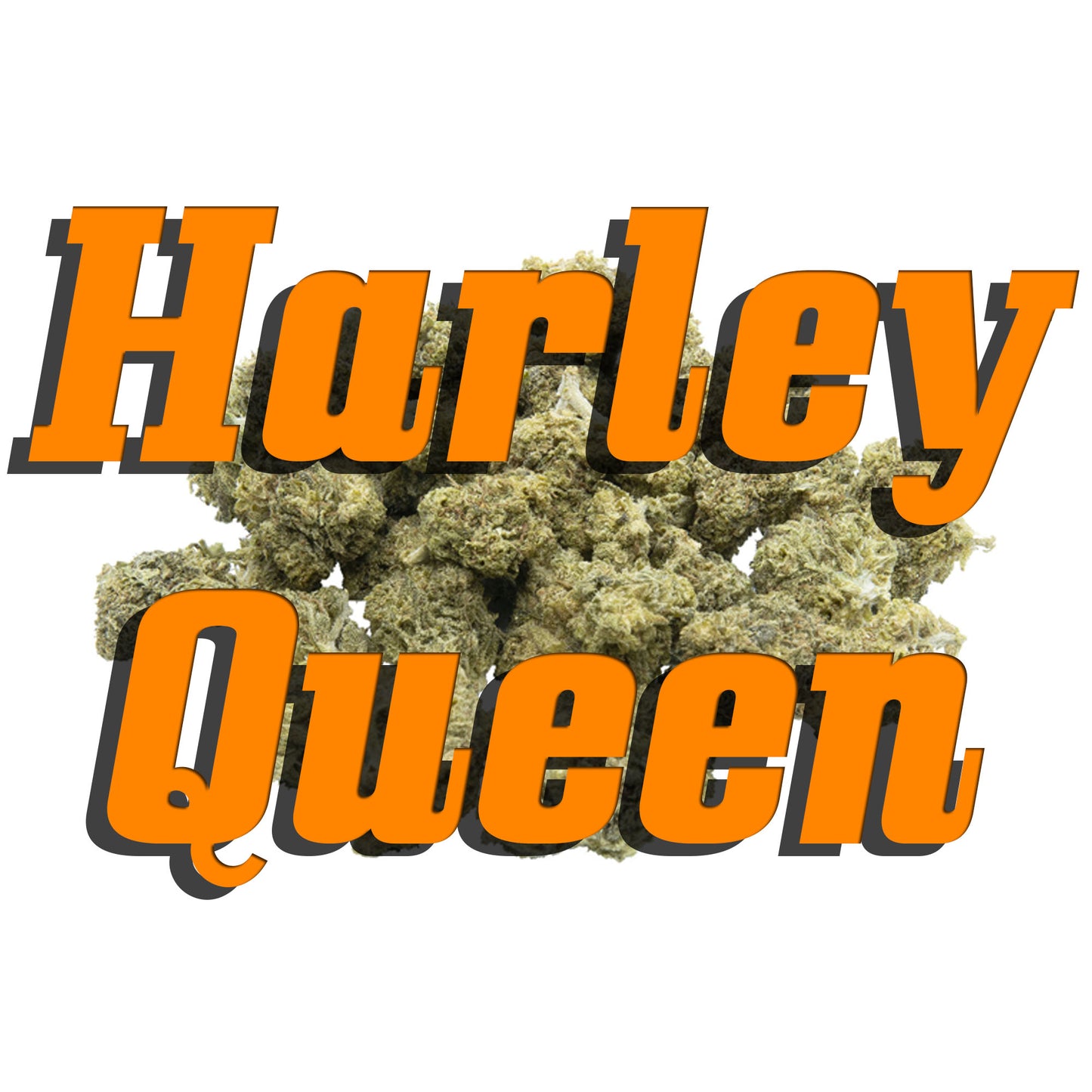Harley Queen