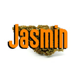 Jasmin